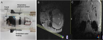 Three-Dimensional In vivo Magnetic Resonance Imaging (MRI) of Mouse Facial Nerve Regeneration